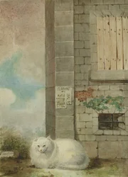 White Persian Cat
